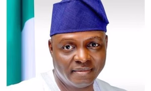 APC national chairman, Yilwatda loses mother 
