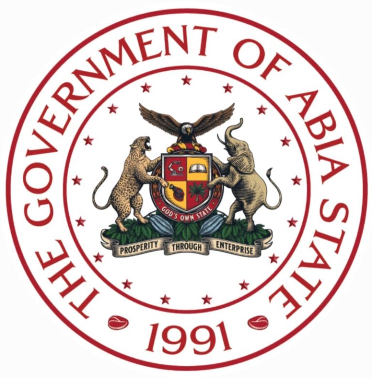 Shadow Government doesn’t exist - Abia govt warns PDP