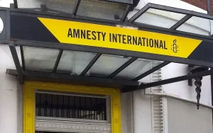 Amnesty International appeals to Nigerians to stop mob violence, jungle justice