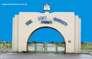 Dementia Research Collects 1100 Biopsies In Nigeria Study 300x193