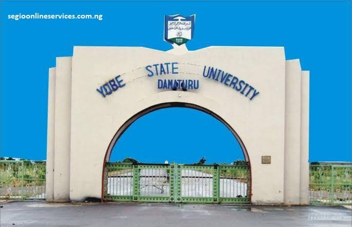 Yobe varsity begins dementia research, collects 1,100 blood, biopsy samples — Daily Nigerian