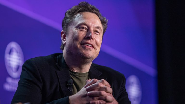 Musk claims ‘major’ US Democrats in Epstein docs — RT World News