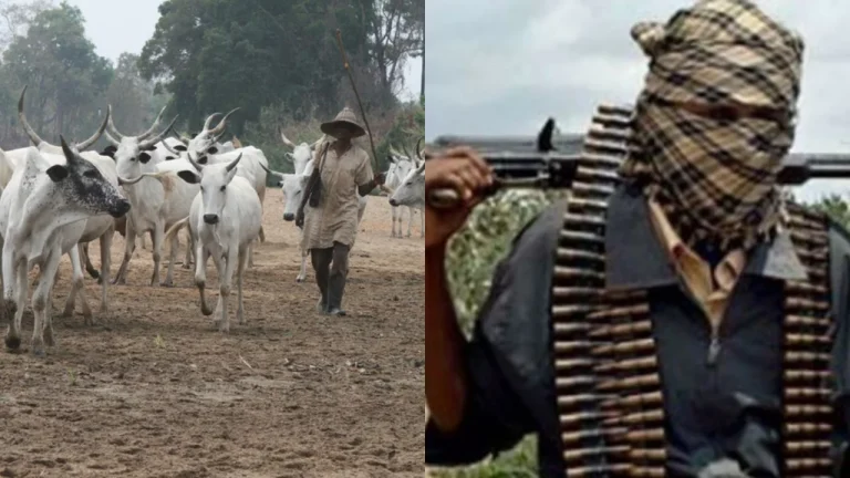 Tension in Delta community as herdsmen kill farmer on his land