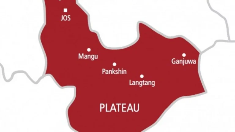 Plateau killings: Bokkos LG chair calls on security agencies to halt militias