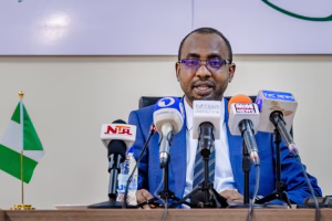 Social Media giants deactivated over 13m accounts in Nigeria – NITDA — Daily Nigerian