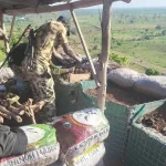 Troops neutralise 12 terrorists, recover weapons in North-East