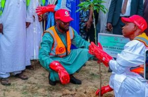 Kano govt inaugurates distribution of 5.5million tree seedlings — Daily Nigerian