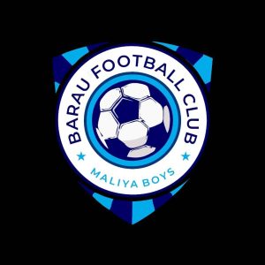 Kano State Approves Sani Abacha Stadium As Barau FCs Temporary 300x300