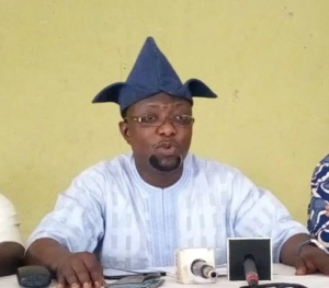Peter Obi, Joe Ajaero planning to break into Aso Rock, overthrow Tinubu - LP's Arabambi