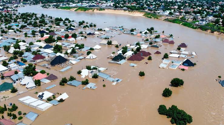 'We are still homeless, hungry,' Mokwa flood victims lament — Daily Nigerian