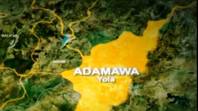 NEMA raises alarm of imminent flood in Adamawa over rising water levels