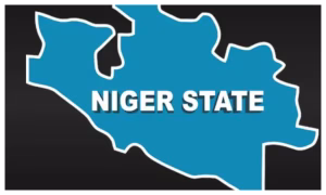 Niger Assembly passes bill on academic retirement age