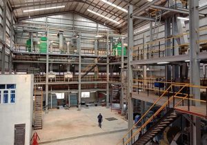 Africa's largest shea butter refinery opens in Niger State