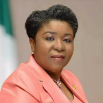 Nigerian govt begins personnel audit on civil servants, BVN, NIN of each worker to be captured — Daily Nigerian