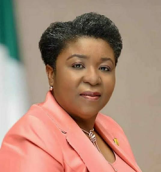 Nigerian govt begins personnel audit on civil servants, BVN, NIN of each worker to be captured — Daily Nigerian