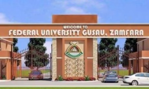 Gashua federal varsity invents 2000W solar generator — Daily Nigerian