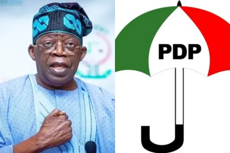Ogun PDP backs Tinubu's second term bid
