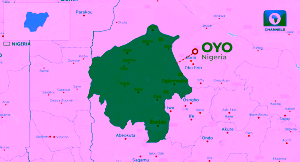 Task Force Busts Oil Black Marketers In Oyo • Channels Television