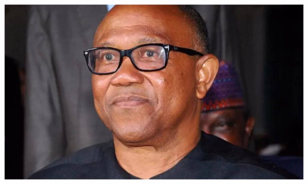 2027: Peter Obi may not keep one-term promise — PDP chieftain