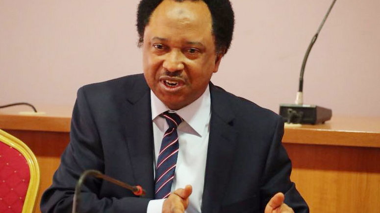 Tinubu not responsible for problems confronting North -- Shehu Sani — Daily Nigerian
