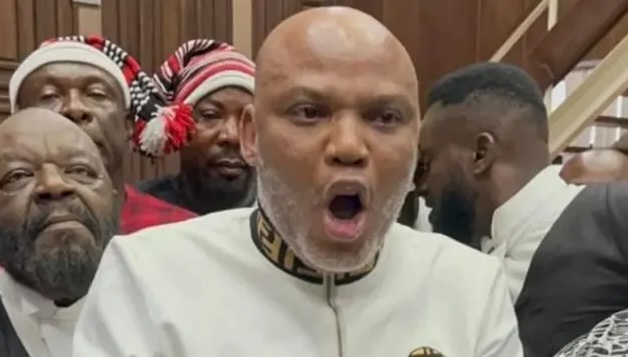 Ex-Lagos lawmaker begs Tinubu to pardon Nnamdi Kanu — Daily Nigerian