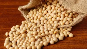 American Soybean Association expands investment to boost US-Nigeria ties in aquaculture