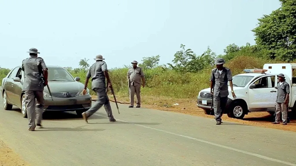 Customs intercepts expired drugs worth N130m in Lagos