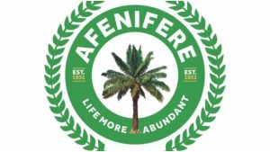 Afenifere Demands Strict Enforcement Of Night Grazing Ban By Herdsmen 300x169