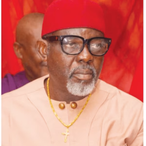Anambra Guber: ADC candidate attacks Moghalu, says LP ticket mere tissue paper