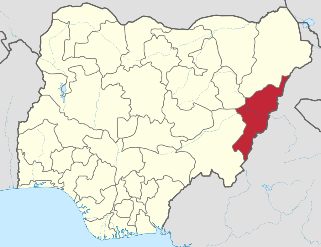 Nigeria probes strange flesh-eating disease in Adamawa — Daily Nigerian