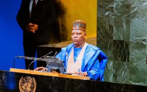Tinubu tasks IMF, World Bank, others on climate action funding — Daily Nigerian