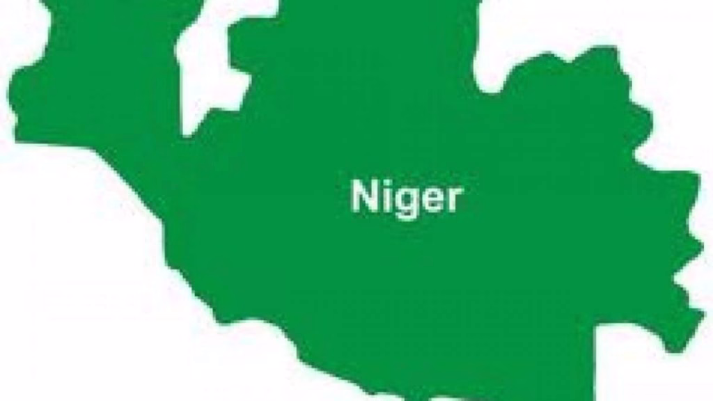 Niger: Diphtheria outbreak kills 10 children in 2 LGAs