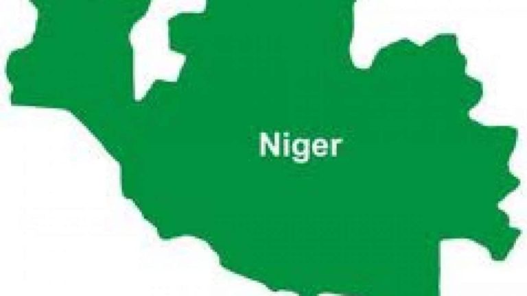 Niger: Diphtheria outbreak kills 10 children in 2 LGAs