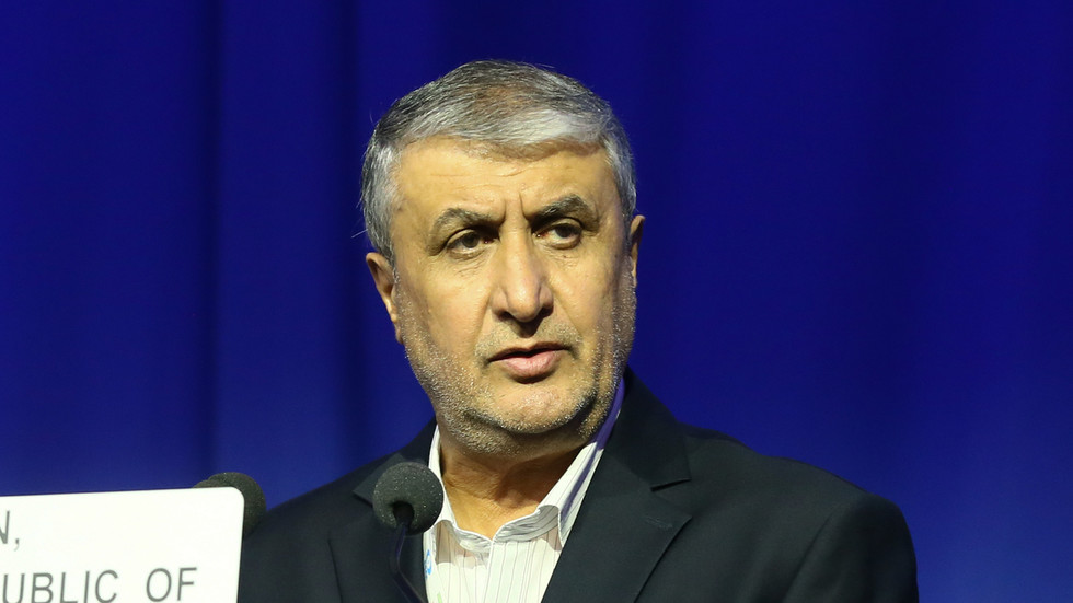 Iran to follow own nuclear path – top energy official — RT World News