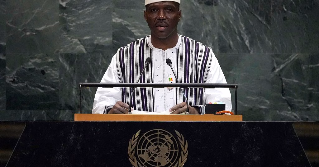 AES Confederation 'will not stand by in the face of attacks,' Mali PM tells UN