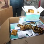 NAFDAC intercepts N1.2bn fake drugs in Lagos