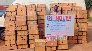 NDLEA recovers 653kg Colos, Loud in Lagos, Abuja raids — Daily Nigerian