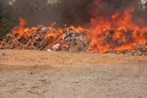 NDLEA intercepts 100,000 pills of tramadol in Kano, destroys 16,966kgs of skunk — Daily Nigerian
