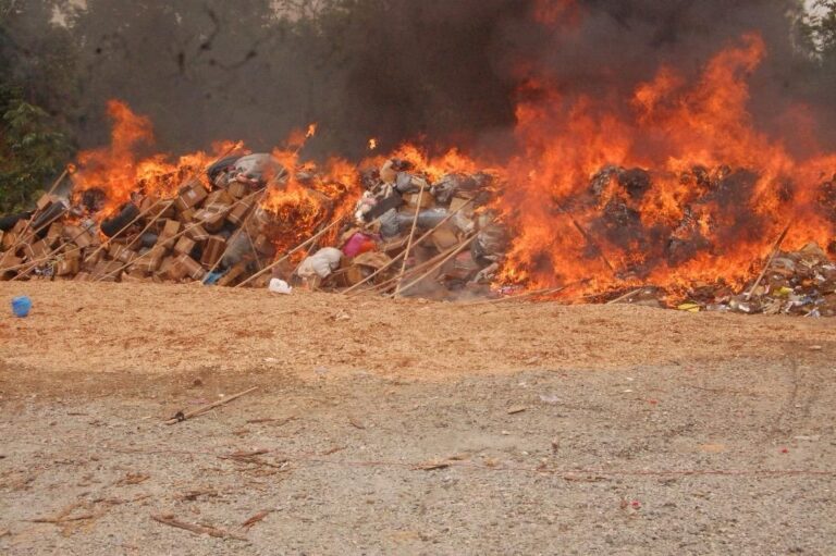 NDLEA intercepts 100,000 pills of tramadol in Kano, destroys 16,966kgs of skunk — Daily Nigerian