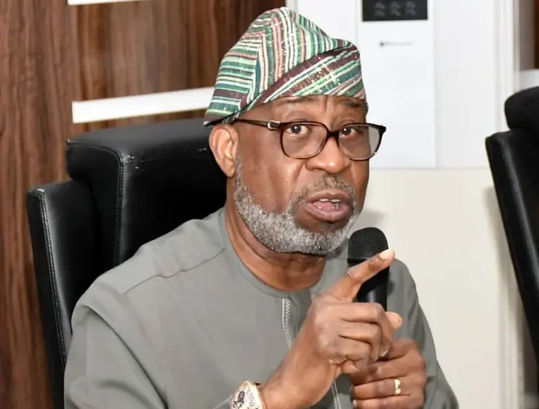 Conviction of terrorist commander victory against illegal mining - Dele Alake