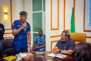 Nigeria's Raw Materials Council, NSCDC collaborate to tackle illegal mining