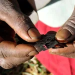 Female Genital Mutilation: Nigeria ranks 3rd globally with 20 million victims - UNICEF