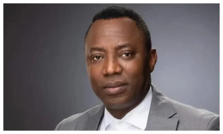 Cybercrime: Sowore must face trial - US group tackles SERAP, AI