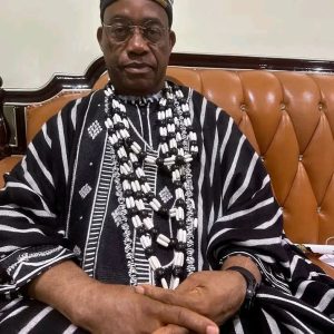 Tor Tiv gives Benue chiefs 48 hours to flush out militias