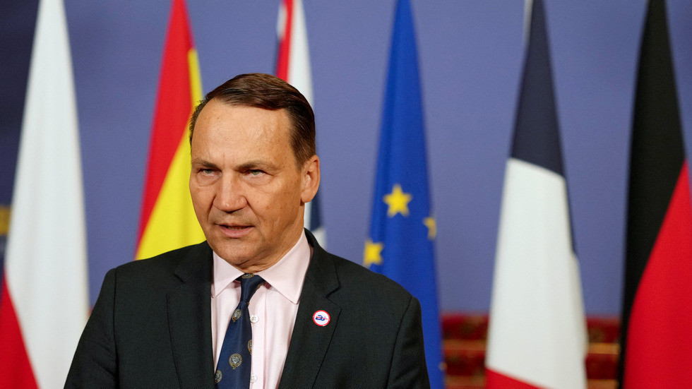 Poland pours cold water on ‘security guarantees’ for Ukraine — RT World News