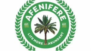 APC good at deceiving people, manipulating figures - Afenifere leader