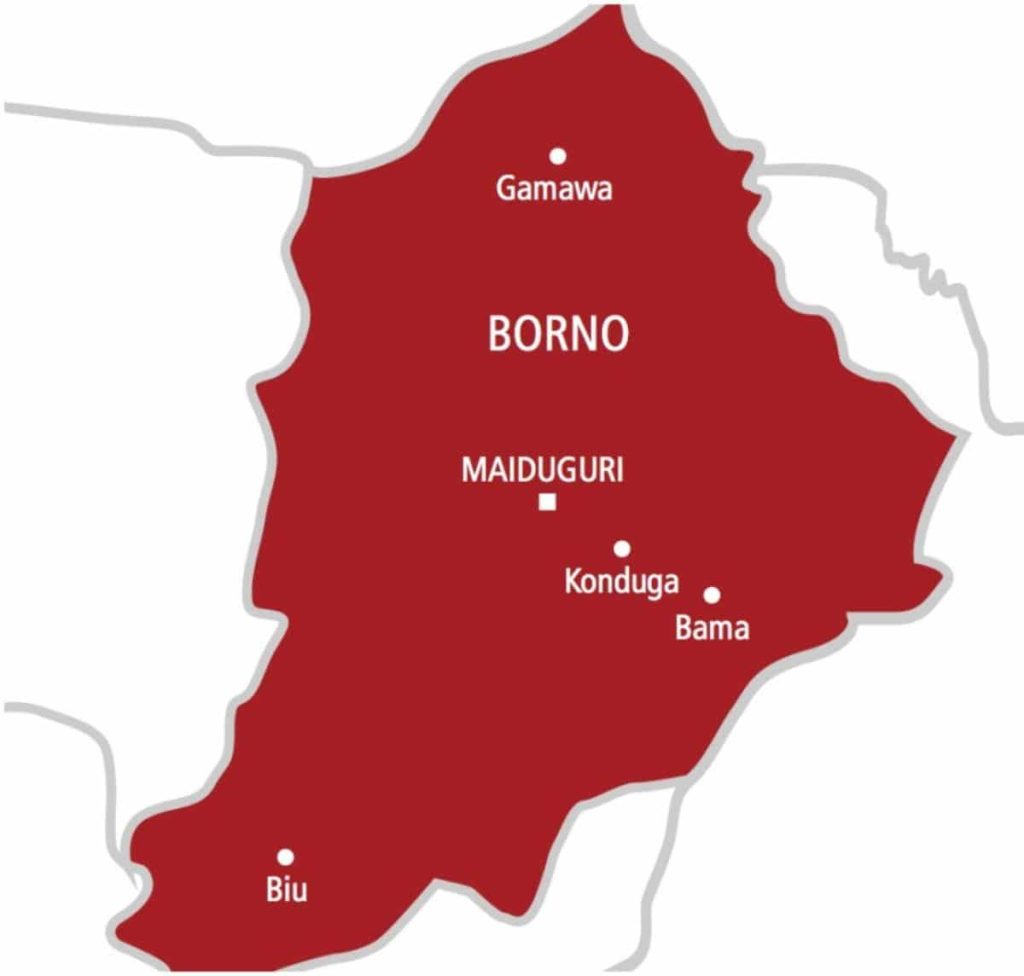 We are victims, not perpetrators of genocide – Borno elders
