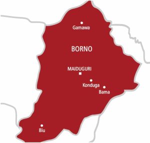 Borno Elders Dismiss Genocide Claims As Malicious 300x286