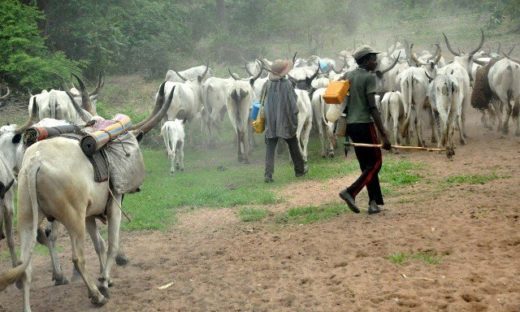 Miyetti-Allah alleges targeted attacks in Southern Kaduna, seeks probe into killing of 4 herders — Daily Nigerian