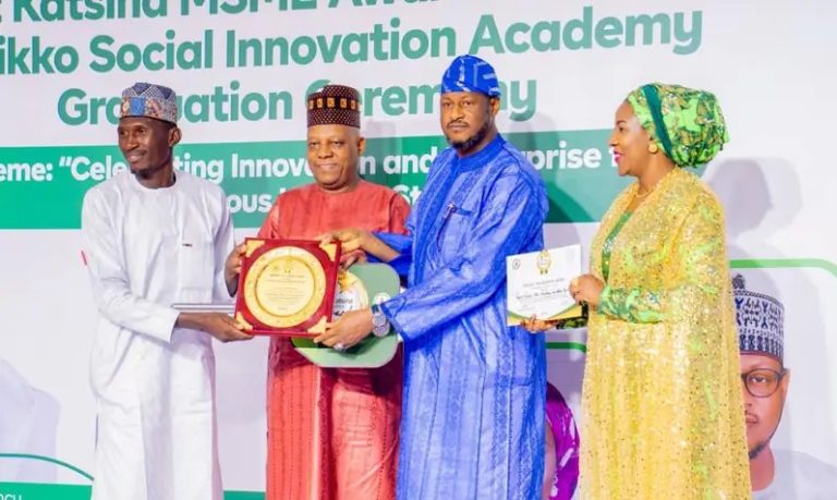 Nigerian govt will transform Katsina to industrial hub -- Shettima — Daily Nigerian